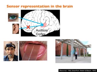 Sensor representation in the brain!
[Roe et al., 1992; BrainPort; Welsh & Blasch, 1997]
Seeing with your tongue
Human echolocation (sonar
Auditory cortex learns to
see.
(Same rewiring process
also works for touch/
somatosensory cortex.)
Auditory
Cortex
 