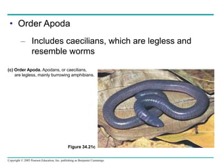 34_VERTEBRATE Zoology Lecture Note_ppt (1).pptx