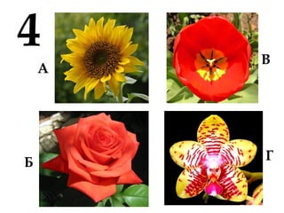 4
А
Б
В
Г
 