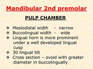 Mandibular 2nd premolarMesial aspectTriangular ridges of Buccal    and Mesio lingual cusps don’t  not form a continuous crestDistal aspectBoth lingual cusps are  seen