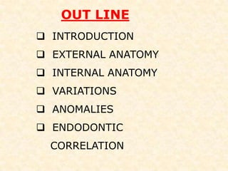 OUT LINE  INTRODUCTION