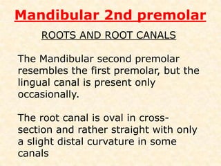 Mandibular 2nd premolarOcclusal viewMesial & Distal triangular fossaeeach contains• A pit• Mesiobuccal & Distobuccal groovesMD