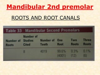 Mandibular 2nd premolarOcclusal viewGrooves (Y shape meet at the central pit)• Mesial groove separates Buccal & Mesiolingual triangular ridges – runs obliquely• Lingual  groove separates lingual cusps• Distal groove separates Buccal  & Distolingual triangular ridgesBMLDL