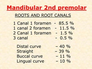 Mandibular 2nd premolarPulp Buccolingual section• Pulp chamber iswider• Pulp horns are ofequal height