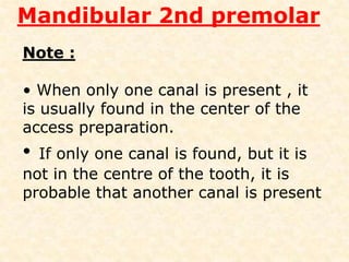   Cross section – ovoid with greater       diameter in buccolingually  