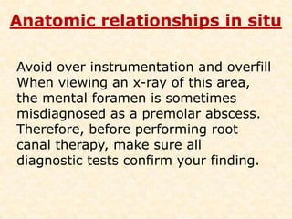 Mandibular 2nd premolarROOTS AND ROOT CANALS