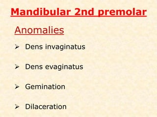 CROSS SECTIONAL IN MIDROOT                             LEVEL AND APICALMidroot level: the canal continues to be long ovoid and requires perimeter filing Apical third level: the canals, generally round, are shaped into round, tapered preparations.Preparation terminates at the cementodentinaljunction, 0.5 to 1.0 mm from the radiographicapex.
