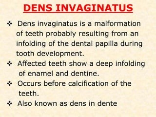 MANDIBULAR 2 PREMOLAR TEETHERRORS IN CAVITY PREPARATIONPERFORATIONat the disto gingival caused by failure to recognize that the premolar has tilted to the distal