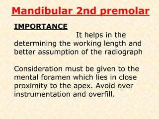 INTRODUCTION The term premolar is used to    designate any tooth in the permanent  dentition that replaces a primary  molar.fifth tooth from midline in the  mandible quadrant. They assist canine in shearing and  support corners of the mouth from  sagging.