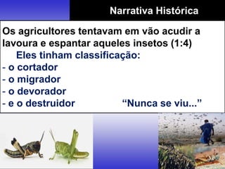 Narrativa Histórica
Os agricultores tentavam em vão acudir a
lavoura e espantar aqueles insetos (1:4)
Eles tinham classificação:
- o cortador
- o migrador
- o devorador
- e o destruidor “Nunca se viu...”
 