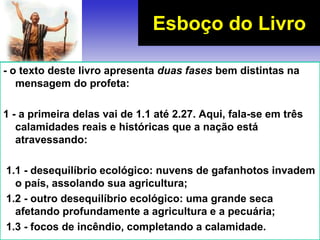 - o texto deste livro apresenta duas fases bem distintas na
mensagem do profeta:
1 - a primeira delas vai de 1.1 até 2.27. Aqui, fala-se em três
calamidades reais e históricas que a nação está
atravessando:
1.1 - desequilíbrio ecológico: nuvens de gafanhotos invadem
o país, assolando sua agricultura;
1.2 - outro desequilíbrio ecológico: uma grande seca
afetando profundamente a agricultura e a pecuária;
1.3 - focos de incêndio, completando a calamidade.
Esboço do Livro
 