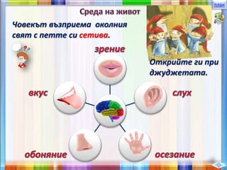 план
Човекът възприема околния
свят с петте си сетива.
Открийте ги при
джуджетата.
 