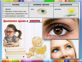 Зрителен орган е ________.
 