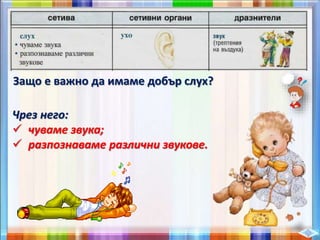 Защо е важно да имаме добър слух?
Чрез него:
 чуваме звука;
 разпознаваме различни звукове.
 