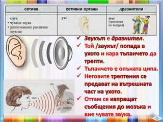 е .
 Той / /
и кара да
.
 Тъпанчето е опъната ципа.
 Неговите
.
 Оттам се
и
вие чувате звука.
 