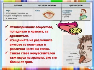 ,
попаднали в храната, са
.
 Усещанията на различните
вкусове се получават в
различни части на езика.
 Езикът става нечувствителен
към вкуса на храната, ако сте
болни от грип.
 