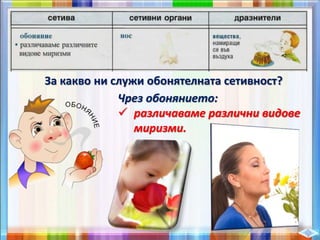 За какво ни служи обонятелната сетивност?
Чрез обонянието:
 различаваме различни видове
миризми.
 