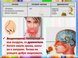 , намиращи се
във въздуха, са .
 Когато имате хрема, носът
ви е запушен. Тогава не
усещате добре миризмите.
 