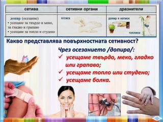 Какво представлява повърхностната сетивност?
Чрез осезанието /допира/:
 усещаме твърдо, меко, гладко
или грапаво;
 усещаме топло или студено;
 усещаме болка.
 