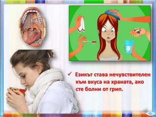  Езикът става нечувствителен
към вкуса на храната, ако
сте болни от грип.
 