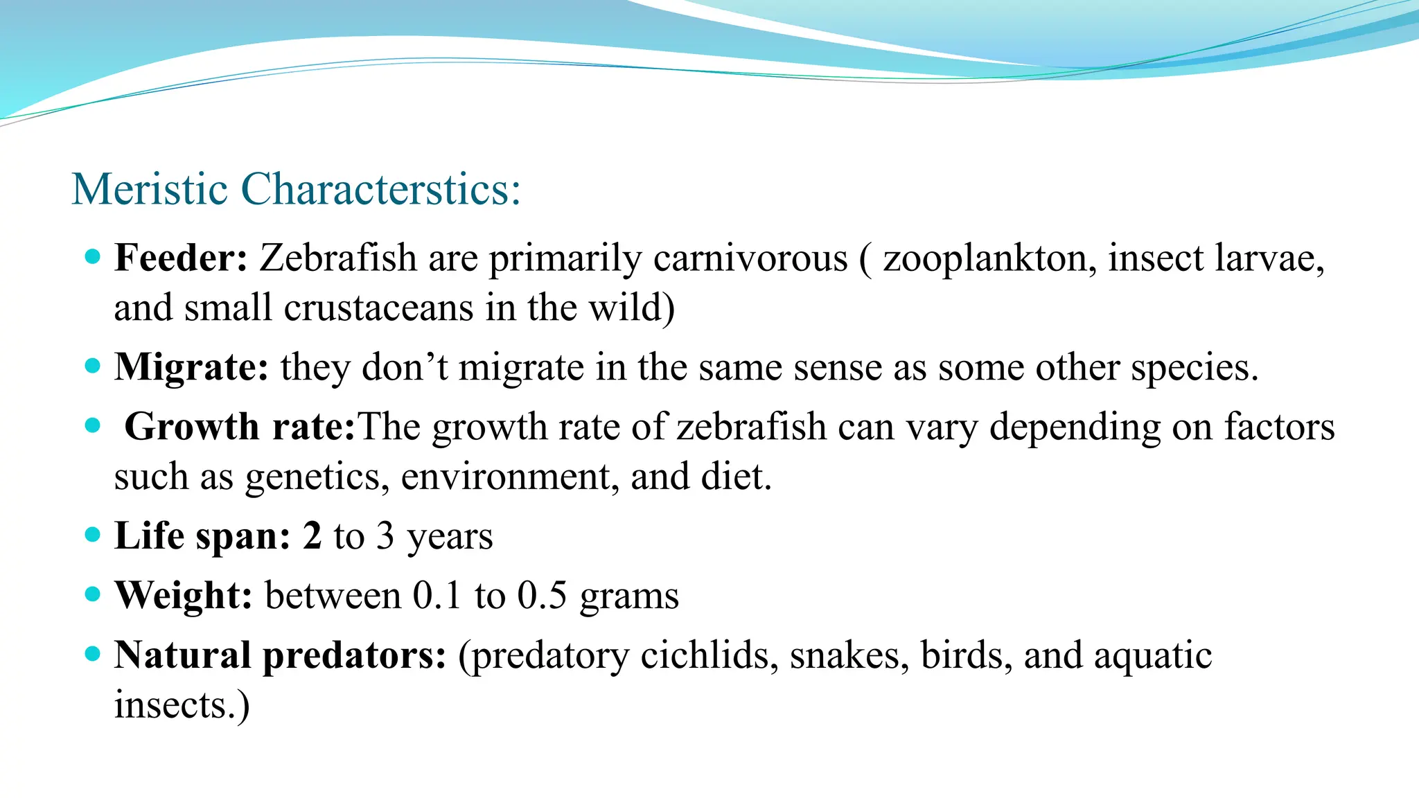 Meristic Characterstics:
 Feeder: Zebrafish are primarily carnivorous ( zooplankton, insect larvae,
and small crustaceans in the wild)
 Migrate: they don’t migrate in the same sense as some other species.
 Growth rate:The growth rate of zebrafish can vary depending on factors
such as genetics, environment, and diet.
 Life span: 2 to 3 years
 Weight: between 0.1 to 0.5 grams
 Natural predators: (predatory cichlids, snakes, birds, and aquatic
insects.)
 