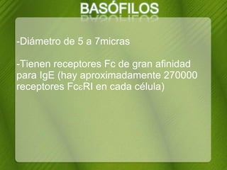 -Diámetro de 5 a 7micras -Tienen receptores Fc de gran afinidad para IgE (hay aproximadamente 270000 receptores Fc Є RI en cada célula) 