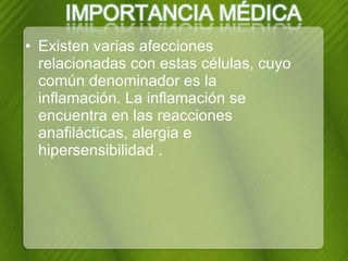 Existen  varias  afecciones relacionadas con estas células, cuyo común denominador es la inflamación. La inflamación se encuentra en las reacciones anafilácticas, alergia e hipersensibilidad . 