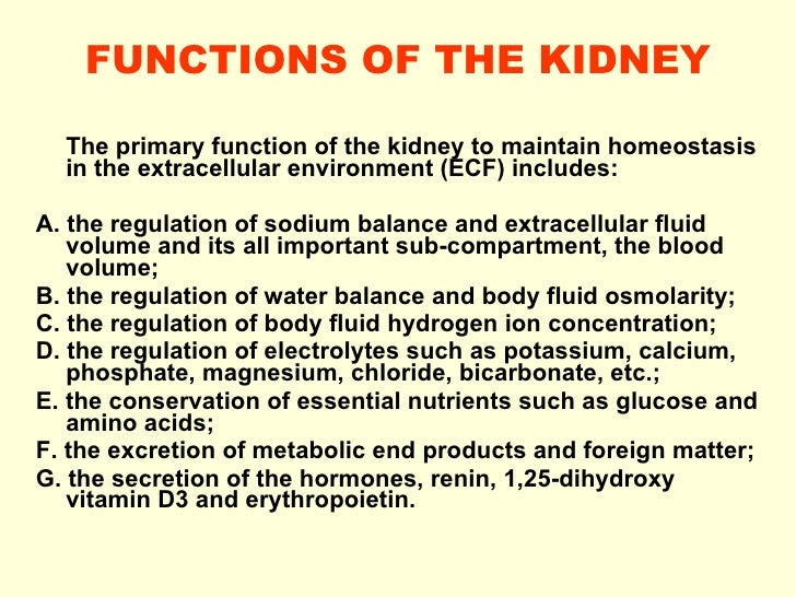 describe how organelles work together to make and secrete a protein Describe the structure and function of these organelles work together to perform 2 the cytoplasm and cellular organelles by openstax read online course 2. describe how organelles work together to make and secrete a protein Describe the structure and function of these organelles work together to perform 2 the cytoplasm and cellular organelles by openstax read online course 2.