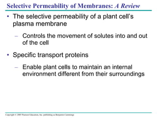 Selective Permeability of Membranes:  A Review The selective permeability of a plant cell’s plasma membrane Controls the movement of solutes into and out of the cell Specific transport proteins Enable plant cells to maintain an internal environment different from their surroundings 
