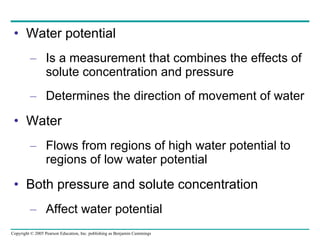 Water potential Is a measurement that combines the effects of solute concentration and pressure Determines the direction of movement of water Water Flows from regions of high water potential to regions of low water potential Both pressure and solute concentration Affect water potential 