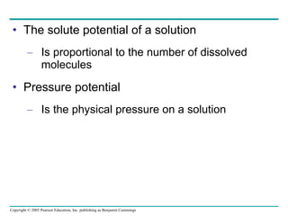 The solute potential of a solution Is proportional to the number of dissolved molecules Pressure potential Is the physical pressure on a solution 
