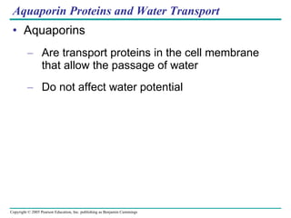 Aquaporin Proteins and Water Transport Aquaporins Are transport proteins in the cell membrane that allow the passage of water Do not affect water potential 