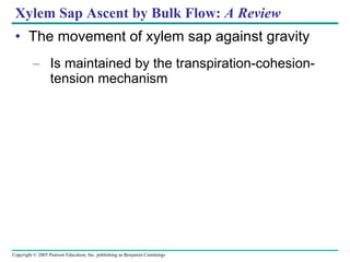Xylem Sap Ascent by Bulk Flow:  A Review The movement of xylem sap against gravity Is maintained by the transpiration-cohesion-tension mechanism 