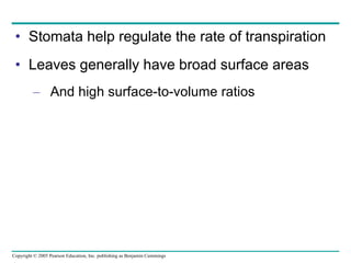 Stomata help regulate the rate of transpiration Leaves generally have broad surface areas And high surface-to-volume ratios 