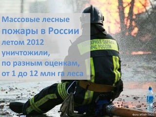 Массовые лесные

пожары в России
летом 2012
уничтожили,
по разным оценкам,
от 1 до 12 млн га леса

Фото: ИТАР-ТАСС

 