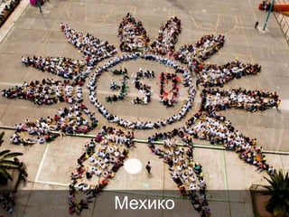 Мехико

 