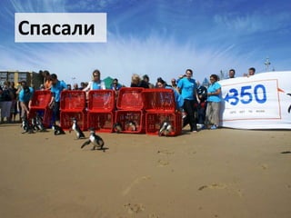 Спасали

 