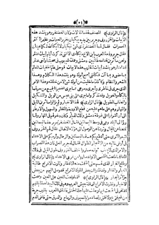 قصة عنتر بن شداد 31