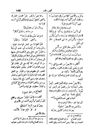 لسان العرب 2