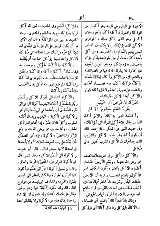 لسان العرب 2