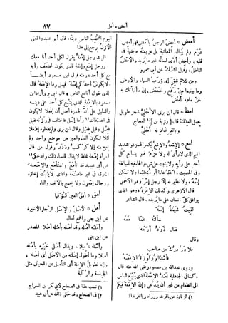 لسان العرب 2