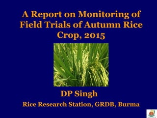 DP Singh
A Report on Monitoring of
Field Trials of Autumn Rice
Crop, 2015
Rice Research Station, GRDB, Burma
 