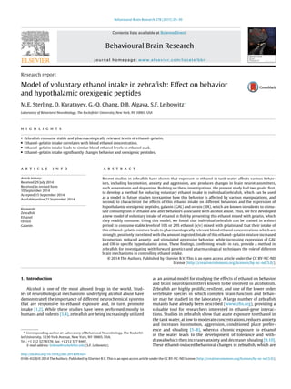 Behavioural Brain Research 278 (2015) 29–39
Contents lists available at ScienceDirect
Behavioural Brain Research
journal homepage: www.elsevier.com/locate/bbr
Research report
Model of voluntary ethanol intake in zebraﬁsh: Effect on behavior
and hypothalamic orexigenic peptides
M.E. Sterling, O. Karatayev, G.-Q. Chang, D.B. Algava, S.F. Leibowitz∗
Laboratory of Behavioral Neurobiology, The Rockefeller University, New York, NY 10065, USA
h i g h l i g h t s
• Zebraﬁsh consume stable and pharmacologically relevant levels of ethanol–gelatin.
• Ethanol–gelatin intake correlates with blood ethanol concentration.
• Ethanol–gelatin intake leads to similar blood ethanol levels to ethanol soak.
• Ethanol–gelatin intake signiﬁcantly changes behavior and orexigenic peptides.
a r t i c l e i n f o
Article history:
Received 29 July 2014
Received in revised form
10 September 2014
Accepted 15 September 2014
Available online 22 September 2014
Keywords:
Zebraﬁsh
Ethanol
Orexin
Galanin
a b s t r a c t
Recent studies in zebraﬁsh have shown that exposure to ethanol in tank water affects various behav-
iors, including locomotion, anxiety and aggression, and produces changes in brain neurotransmitters,
such as serotonin and dopamine. Building on these investigations, the present study had two goals: ﬁrst,
to develop a method for inducing voluntary ethanol intake in individual zebraﬁsh, which can be used
as a model in future studies to examine how this behavior is affected by various manipulations, and
second, to characterize the effects of this ethanol intake on different behaviors and the expression of
hypothalamic orexigenic peptides, galanin (GAL) and orexin (OX), which are known in rodents to stimu-
late consumption of ethanol and alter behaviors associated with alcohol abuse. Thus, we ﬁrst developed
a new model of voluntary intake of ethanol in ﬁsh by presenting this ethanol mixed with gelatin, which
they readily consume. Using this model, we found that individual zebraﬁsh can be trained in a short
period to consume stable levels of 10% or 20% ethanol (v/v) mixed with gelatin and that their intake of
this ethanol–gelatin mixture leads to pharmacologically relevant blood ethanol concentrations which are
strongly, positively correlated with the amount ingested. Intake of this ethanol–gelatin mixture increased
locomotion, reduced anxiety, and stimulated aggressive behavior, while increasing expression of GAL
and OX in speciﬁc hypothalamic areas. These ﬁndings, conﬁrming results in rats, provide a method in
zebraﬁsh for investigating with forward genetics and pharmacological techniques the role of different
brain mechanisms in controlling ethanol intake.
© 2014 The Authors. Published by Elsevier B.V. This is an open access article under the CC BY-NC-ND
license (http://creativecommons.org/licenses/by-nc-nd/3.0/).
1. Introduction
Alcohol is one of the most abused drugs in the world. Stud-
ies of neurobiological mechanisms underlying alcohol abuse have
demonstrated the importance of different neurochemical systems
that are responsive to ethanol exposure and, in turn, promote
intake [1,2]. While these studies have been performed mostly in
humans and rodents [3,4], zebraﬁsh are being increasingly utilized
∗ Corresponding author at: Laboratory of Behavioral Neurobiology, The Rockefel-
ler University, 1230 York Avenue, New York, NY 10065, USA.
Tel.: +1 212 327 8378; fax: +1 212 327 8447.
E-mail address: leibow@rockefeller.edu (S.F. Leibowitz).
as an animal model for studying the effects of ethanol on behavior
and brain neurotransmitters known to be involved in alcoholism.
Zebraﬁsh are highly proliﬁc, resilient, and one of the lower order
vertebrate species in which complex brain function and behav-
ior may be studied in the laboratory. A large number of zebraﬁsh
mutants have already been described (www.zﬁn.org), providing a
valuable tool for researchers interested in ethanol-gene interac-
tions. Studies in zebraﬁsh show that acute exposure to ethanol in
the tank water, at low to moderate concentrations, reduces anxiety
and increases locomotion, aggression, conditioned place prefer-
ence and shoaling [5–8], whereas chronic exposure to ethanol
in the water leads to the development of tolerance and with-
drawal which then increases anxiety and decreases shoaling [9,10].
These ethanol-induced behavioral changes in zebraﬁsh, which are
http://dx.doi.org/10.1016/j.bbr.2014.09.024
0166-4328/© 2014 The Authors. Published by Elsevier B.V. This is an open access article under the CC BY-NC-ND license (http://creativecommons.org/licenses/by-nc-nd/3.0/).
 