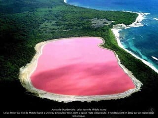 Australie-Occidentale : Le lac rose de Middle Island 
Le lac Hillier sur l’île de Middle Island a une eau de couleur rose, dont la cause reste inexpliquée. Il fût découvert en 1802 par un explorateur 
britannique. 
 