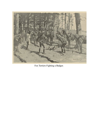 Fox Terriers Fighting a Badger.
 