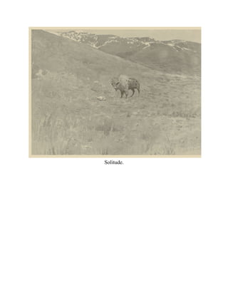 Solitude.
 
