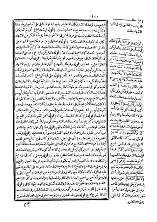 رد المحتار على الدر المختار 5