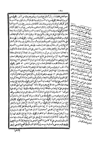 رد المحتار على الدر المختار 5