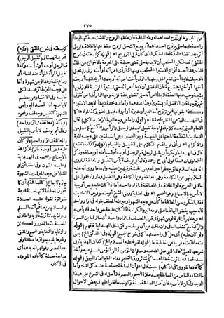 رد المحتار على الدر المختار 5