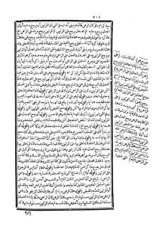 رد المحتار على الدر المختار 5